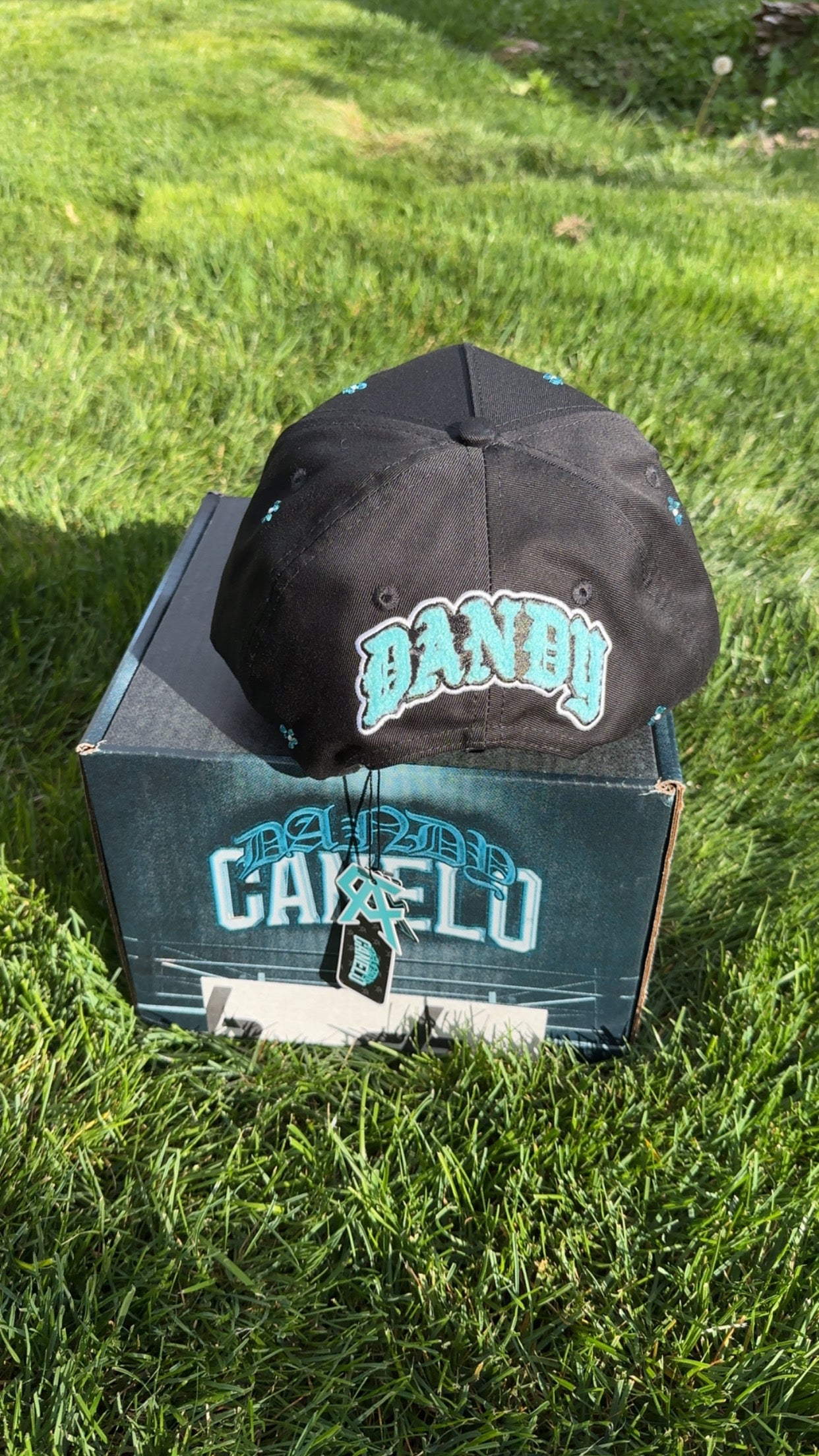 Dandy hats X Canelo - Tiffany