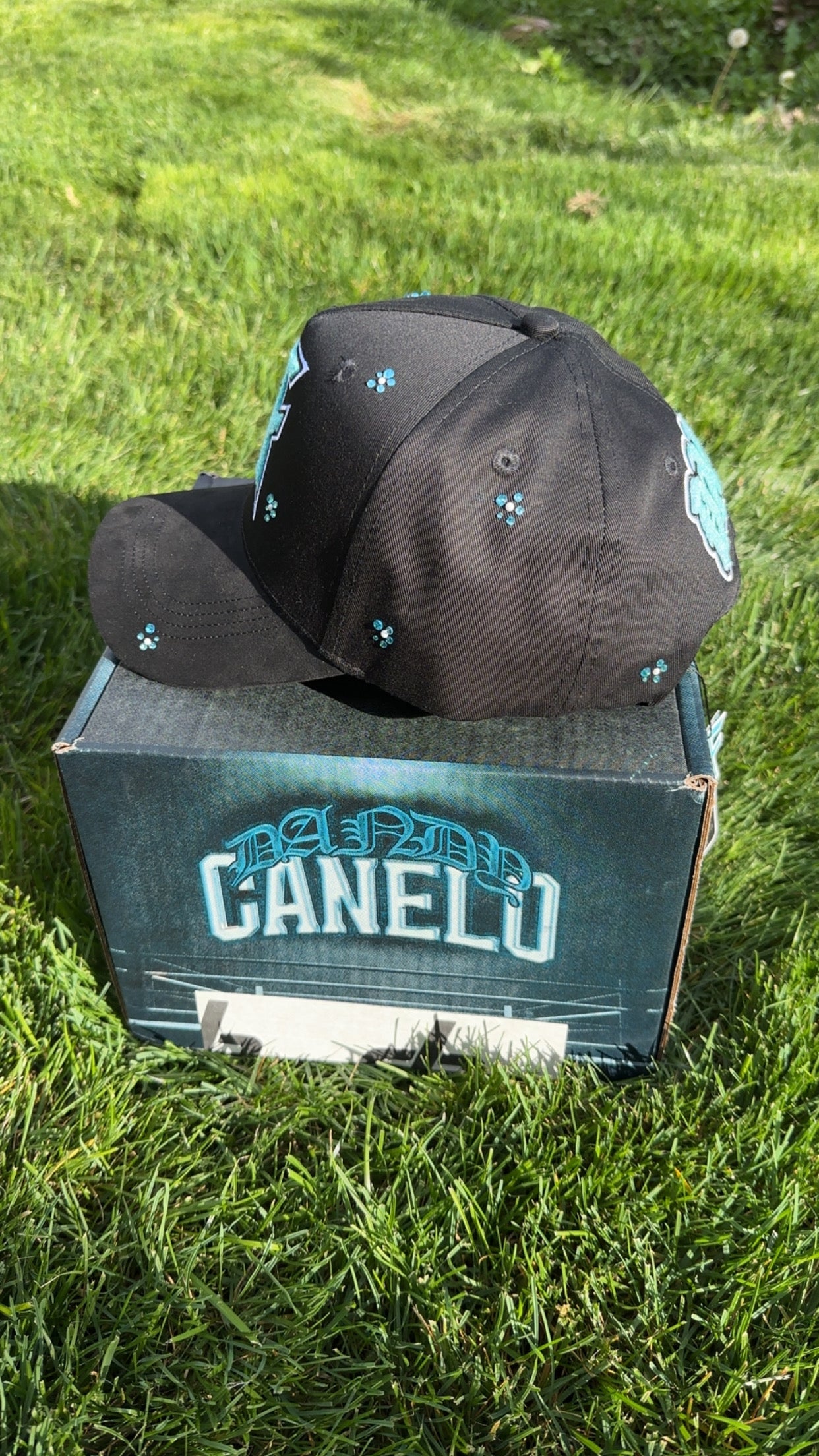 Dandy hats X Canelo - Tiffany